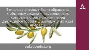 27 февраля 2025. Народ святой. Под сенью благодати _ Адвентисты