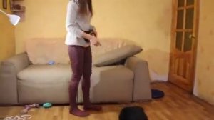 Как научить щенка команде "Нельзя"