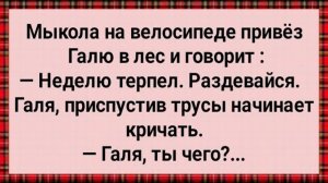 Как Мыкола в Лес Галю Возил! Сборник Свежих Анекдотов! Юмор!