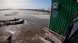 Паводок в Сибири.Какие мощные бывают ручьи весной.