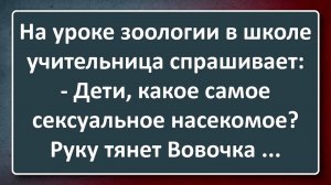 Вовочка и Самое С@ксуальное Насекомое! Сборник Анекдотов