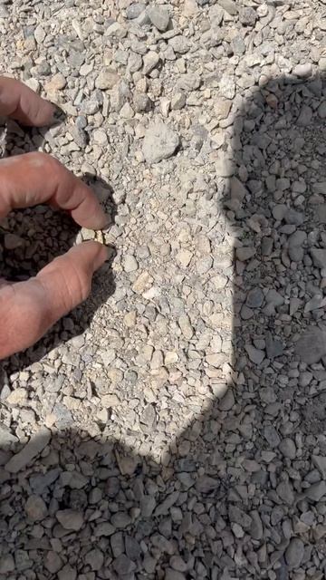 Золотой бетон #music #cover #song #tiktok #стройка #youtube #ремонт #top смотреть онлайн