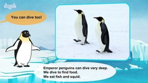 33. Meet the Animals Emperor Penguin Birds Stories for Kindergarten