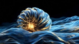 морские существа