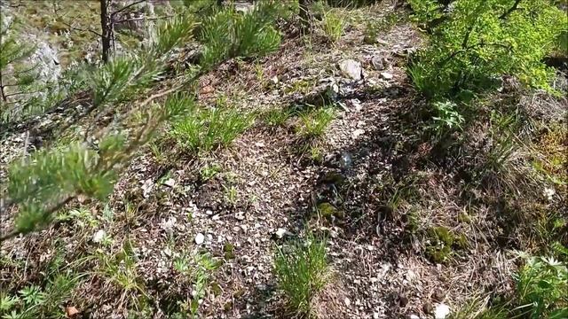 Бирюсинский залив 12 июня 2024. КВХ смотреть онлайн