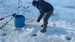 Сход крупной форели порвала леску !!!