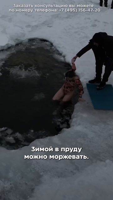 Что станет с прудом зимой? смотреть онлайн