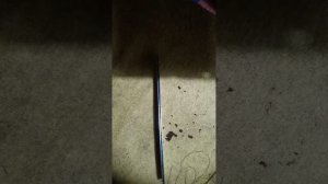 Мини-пила 6 дюймов после работы (2).