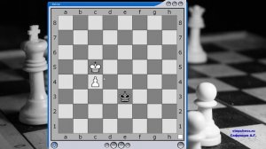 Задание №1  Конь с пешкой против пешки