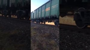 2ТЭ25КМ с грузовым поездом, станция Почеп