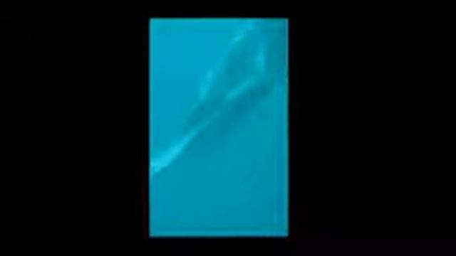 The Flight of the Manta Ray смотреть онлайн