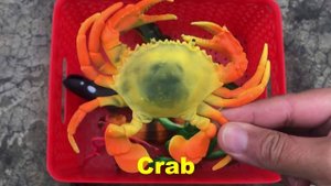 My Sea Animal Sea Creature Figurines Toys Collection Smart Kids TV