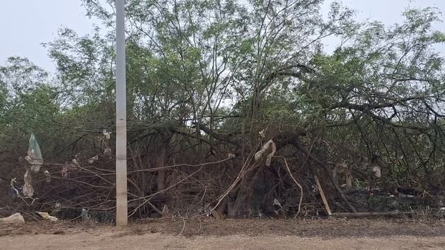 Inundação finalmente baixa no extremo-norte de Porto Alegre, mas há água e lixo - 29/05/2024 смотреть онлайн