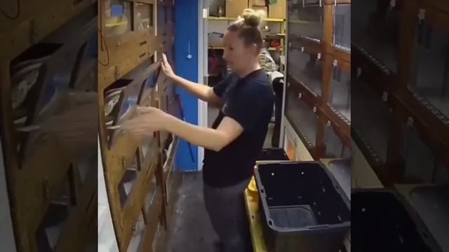 ФАКир - заклинатель змей! смотреть онлайн