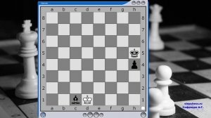 Задание №5  Не тот слон