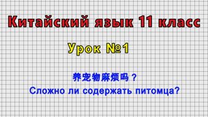 Китайский язык 11 класс (Урок№1 - 养宠物麻烦吗？ Сложно ли содержать питомца?)