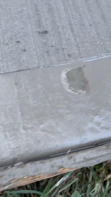 Снова коты по бетону ходят #tiktok #top #construction #youtube #стройка смотреть онлайн