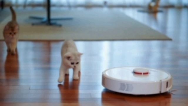 "Розумний дім" Заняття для дітей старшого дошкільного віку. смотреть онлайн