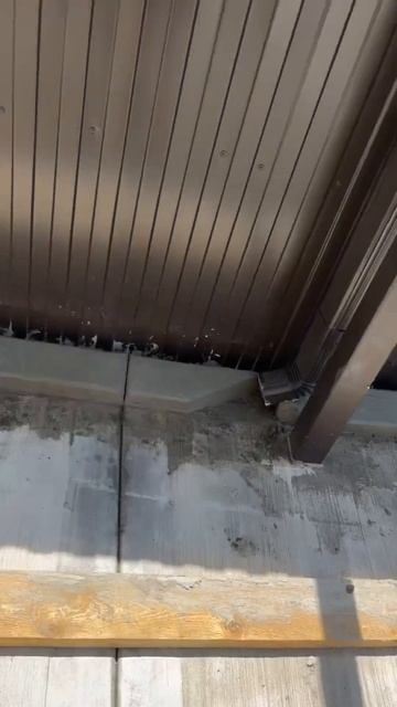 Фактурный бетон и литой бордюр из бетона #бетон #бетонирование #благоустройство #tiktok #youtube смотреть онлайн