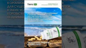 Хитозан Как он работает