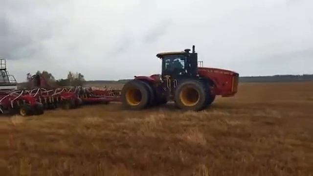 Прямой посев озимых зерновых  #агроном #сельскоехозяйство #