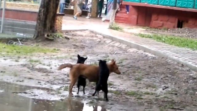 извращенец часть 4 смотреть онлайн