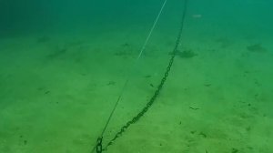 CHASING GLADIUS MINI UNDERWATER DRONE | UGC-Holiday