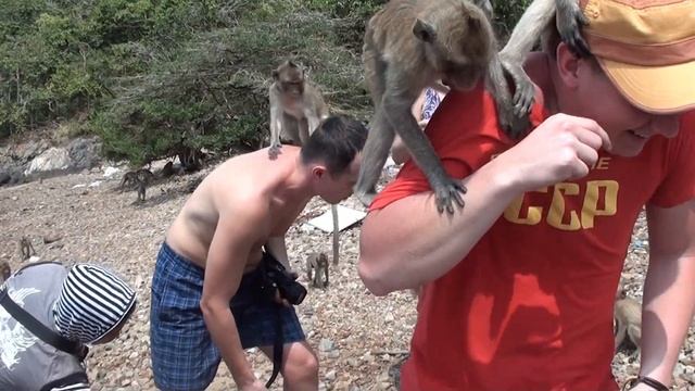 ОСТРОВ ОБЕЗЬЯН ТАЙЛАНД. ВСТРЕЧА С КАПУЦИНАМИ