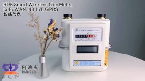 Smart Gas Meter
