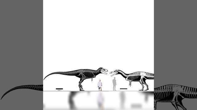 Bistahieversor And Riparovenator Size Comparison смотреть онлайн