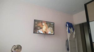 вкусняшки, влог после школы