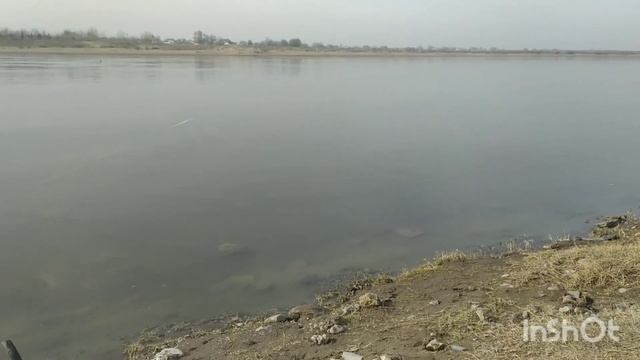 2022 жыл қортындысы 2023 жыл балық аулау шардара смотреть онлайн