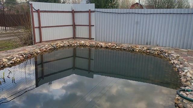 Дачный пруд после зимы. Как перезимовал? #azbukasada 101 смотреть онлайн