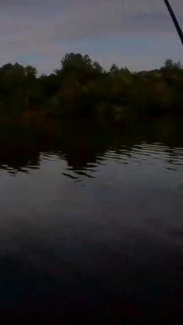 рыбалка на карпа и карася. #рыбалка#familyfishing#карп#карась# смотреть онлайн