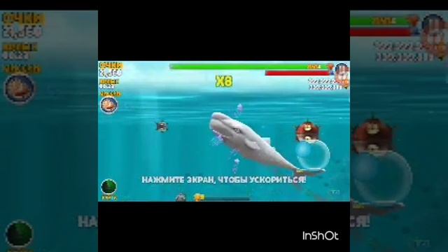 Взлом Hungry shark evolution смотреть онлайн