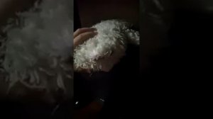 мишки затупишки