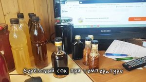 Березовый сок собираем и перерабатываем. Тестируем новое направление. Березовый сок, квас, сироп