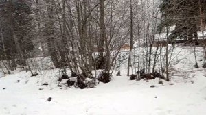 Отель Китеж, река Псыж, Архыз январь 2024