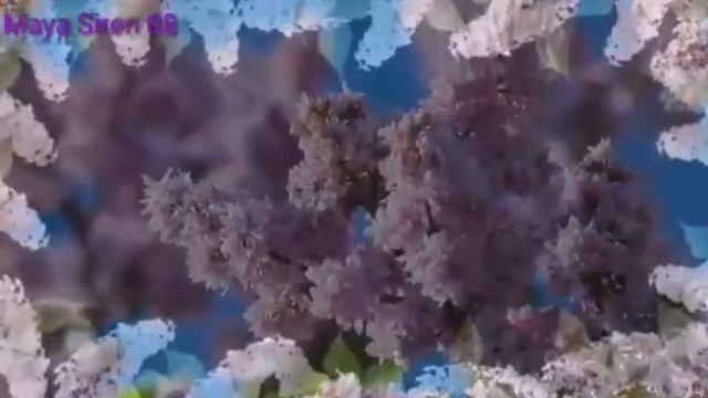 Гурт Лісапетний Батальйон Ружа