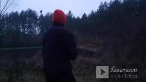 ОХОТА С ПНЕВМАТИКОЙ НА РАЗНУЮ ДИЧЬ!!!ЕСТЬ ФАЗАН И ЛИСА!!!