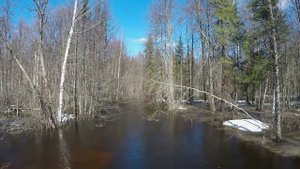 Журавли .  Душевная песня.Елена Серикова.