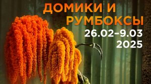 Домики и румбоксы. Вернисаж 26.02.2025