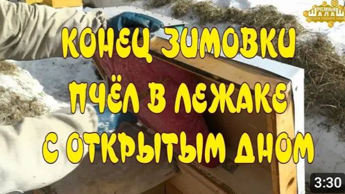 КОНЕЦ ЗИМОВКИ ПЧЁЛ В ЛЕЖАКЕ С ОТКРЫТЫМ ДНОМ смотреть онлайн