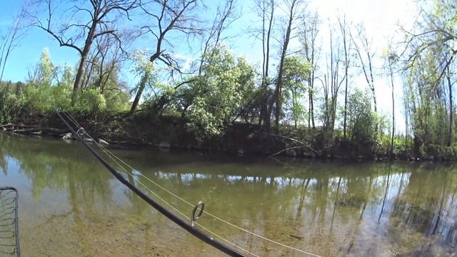 Рыбалка в Чечне и в Европе (Ловля Форели) 71 смотреть онлайн