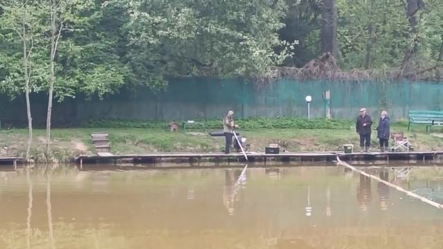 На оранжевый магот смотреть онлайн