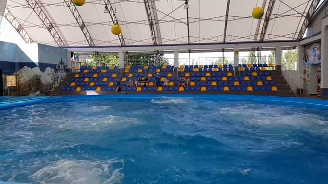 Дельфинарий Немо.mp4 смотреть онлайн