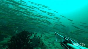 Андаманское море