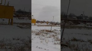 Вау