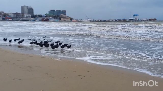 АНАПА. 19.01.2022г. Центральный пляж зимой. смотреть онлайн