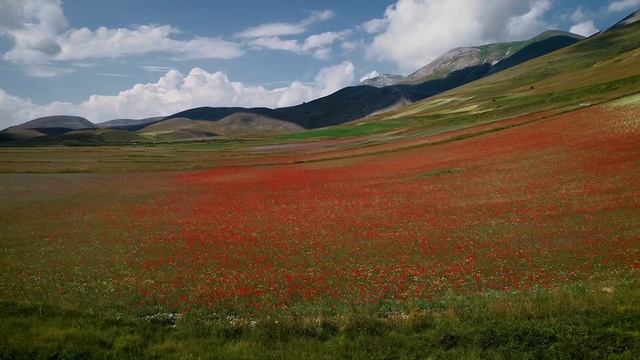Umbria Itália - Drone 4k смотреть онлайн